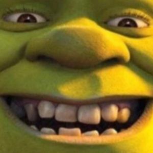 Meet your Posher, Dalton